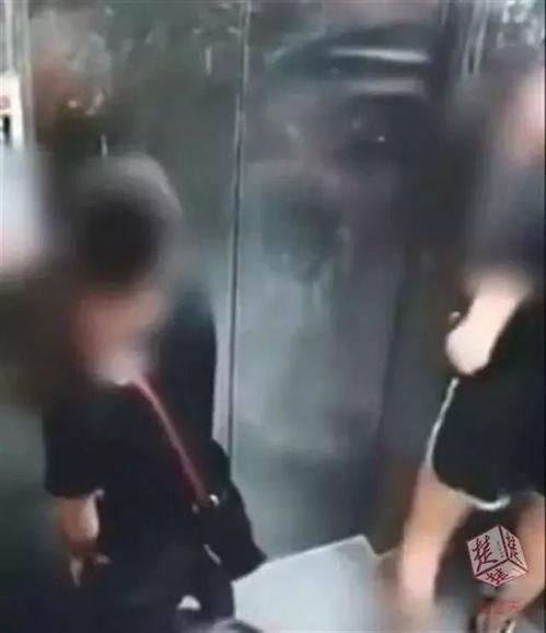 母亲爆料女生视频大全集,女生视频大全集背后的真相与警示  第3张